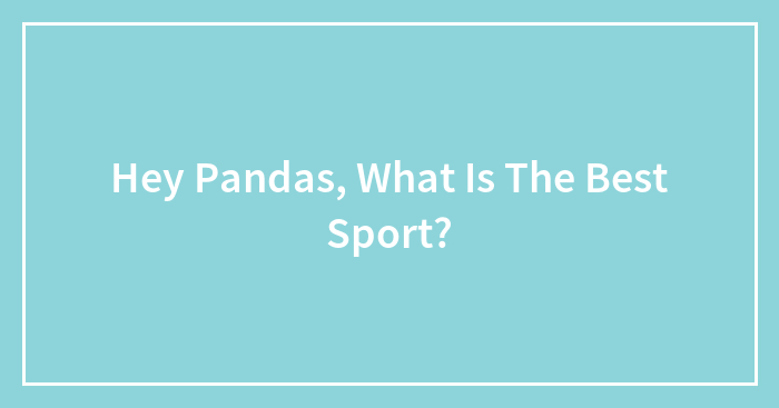Hey Pandas, What Is The Best Sport?