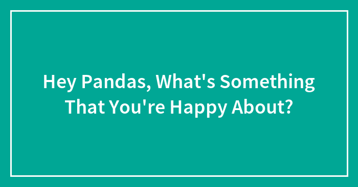 Hey Pandas, What’s Something That You’re Happy About? (Closed)