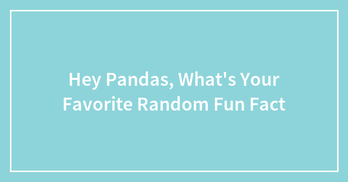 Hey Pandas, What’s Your Favorite Random Fun Fact