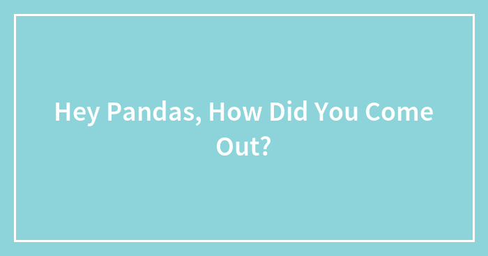 Hey Pandas, How Did You Come Out?