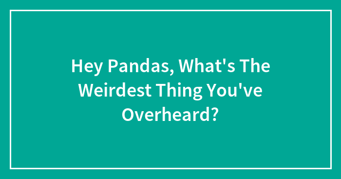 Hey Pandas, What’s The Weirdest Thing You’ve Overheard? (Closed)