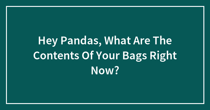 Hey Pandas, What Are The Contents Of Your Bags Right Now? (Closed)