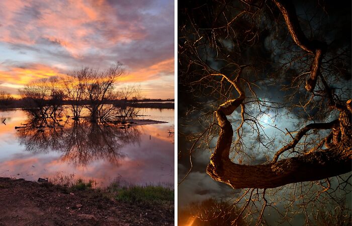 Hey Pandas, Post Your Favorite Photograph You Took In January 2023 (Closed)