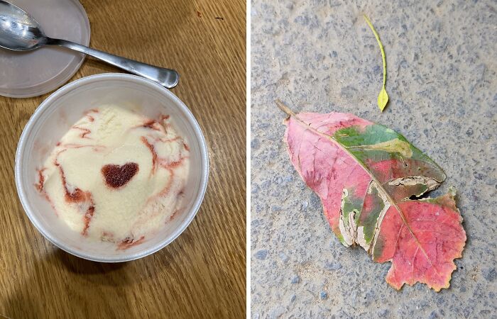 Hey Pandas, Post An Image Of Something That Made Your Day (Closed)