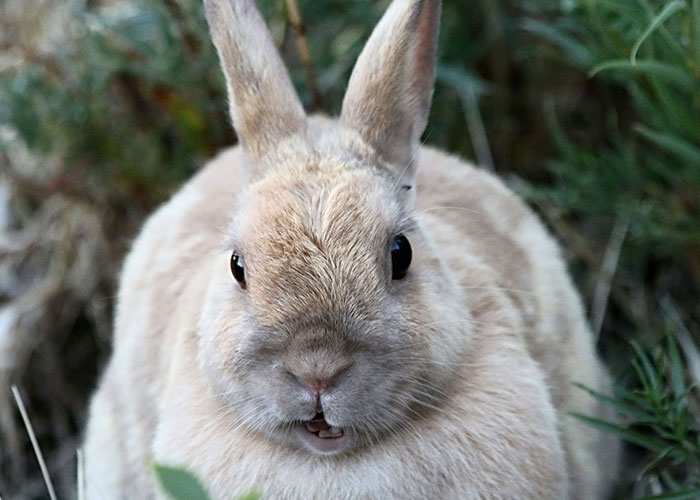 30 Teachers Reveal The Wildest Reasons They’ve Sent A Student To The Principal’s Office