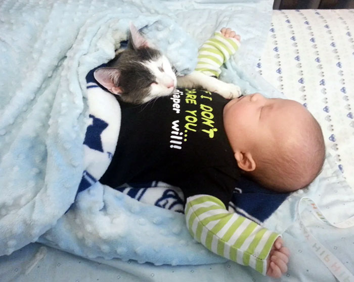 The Babysitter That Sometimes Sits On The Baby