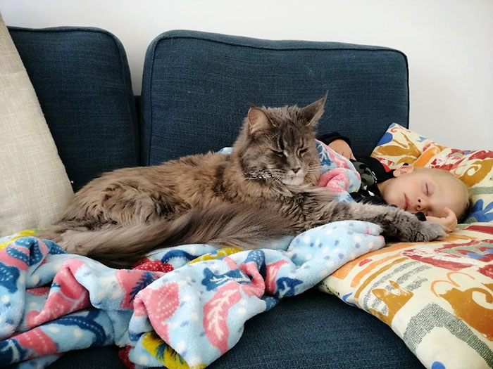 Both Of My Babies Are Sleeping