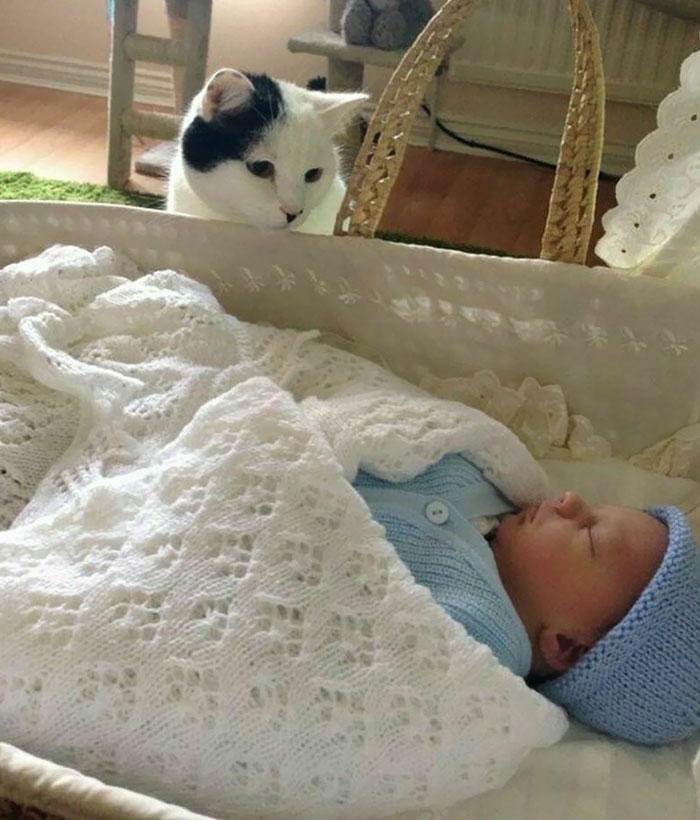 Sleep Well Baby, Nanny's Here