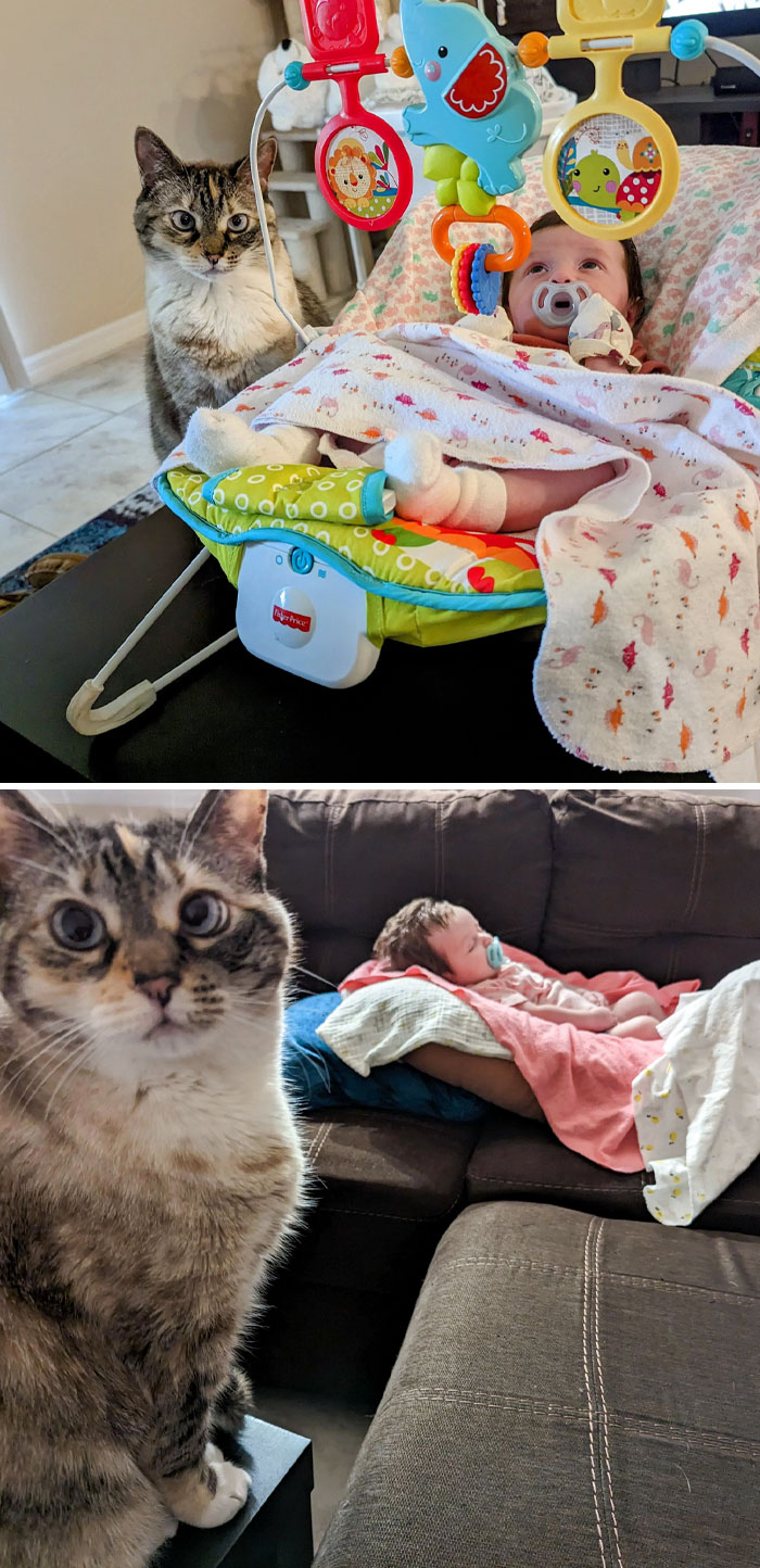 Professional Babysitter