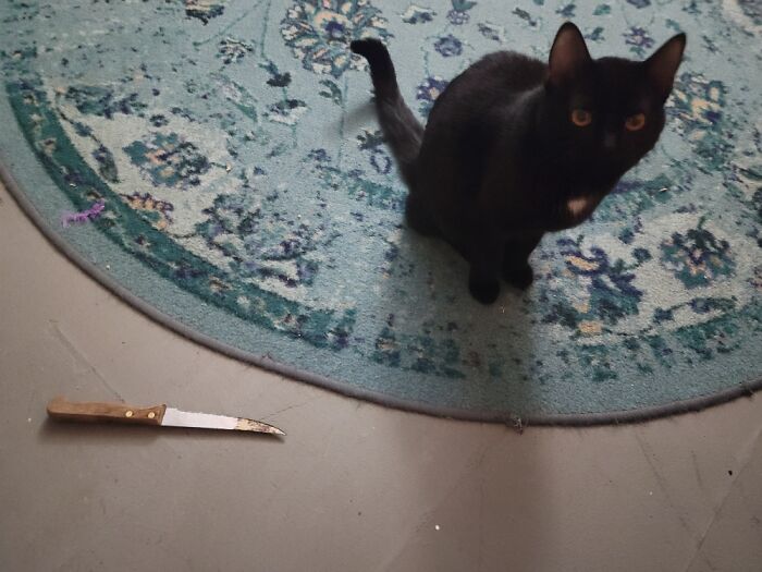 25 Images That I Found Clearing My Drive