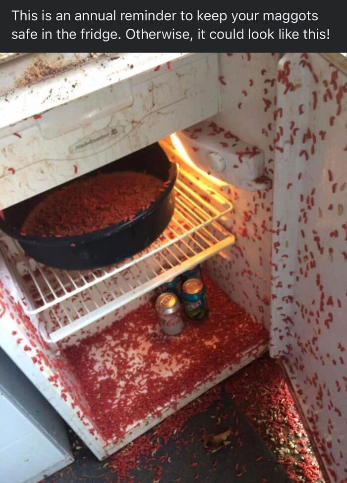 Disgusting-Food-Pics-Why-Dont-Do-Potlucks