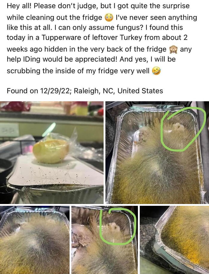 Disgusting-Food-Pics-Why-Dont-Do-Potlucks