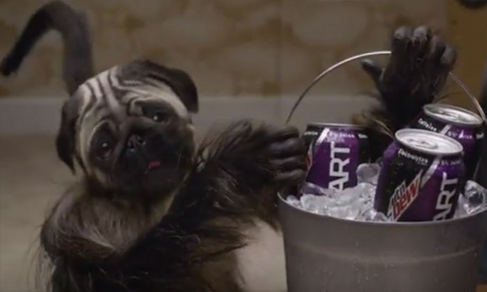 Mountain Dew – Puppy Monkey Baby (2016)