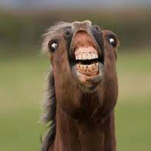 alexanderizzo_1 avatar