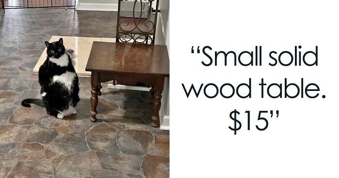 40 Gems From Facebook Marketplace That Prove Just How Much Garbage People Try To Sell You (New Pics)