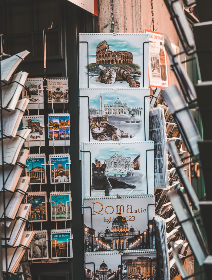 Law In Rome Allows Cats To Live Without Disruption In The Place They Were Born