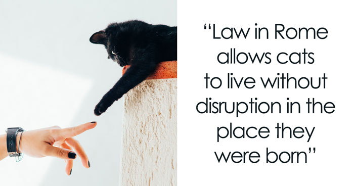 34 Interesting Facts About Rome To Learn Before Boarding The Plane