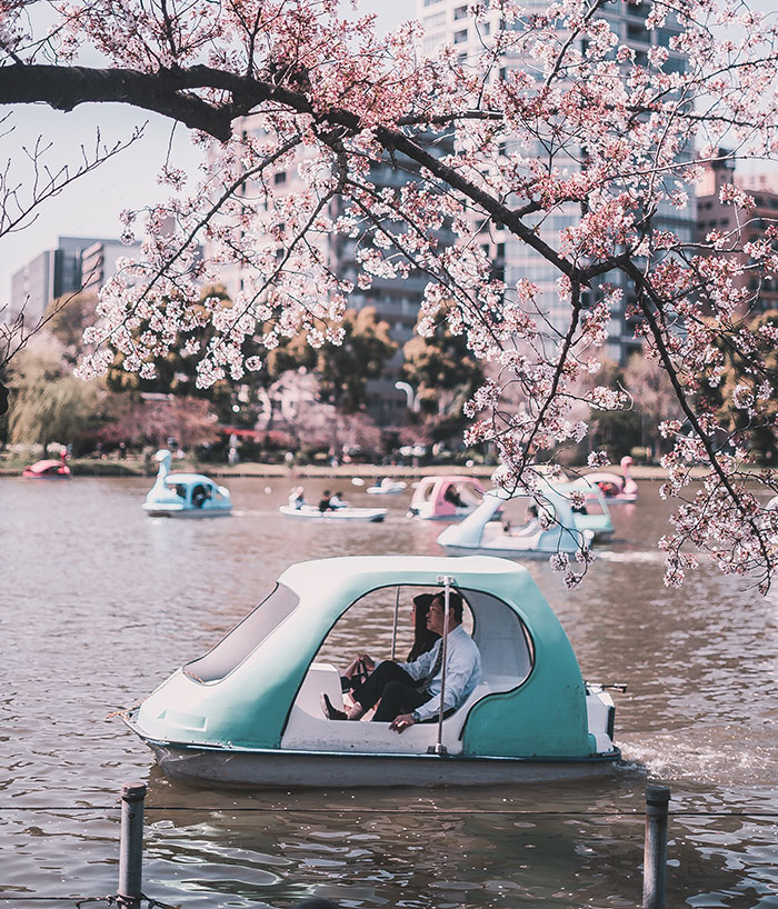 Picture of persons in the lake near cherry tree