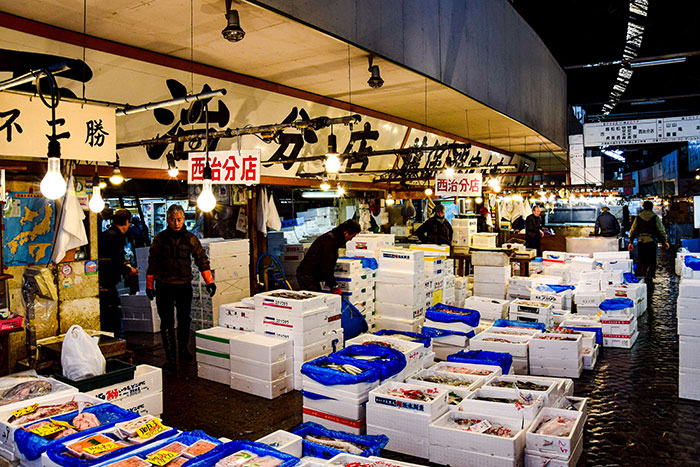 Picture of fish market in Japan