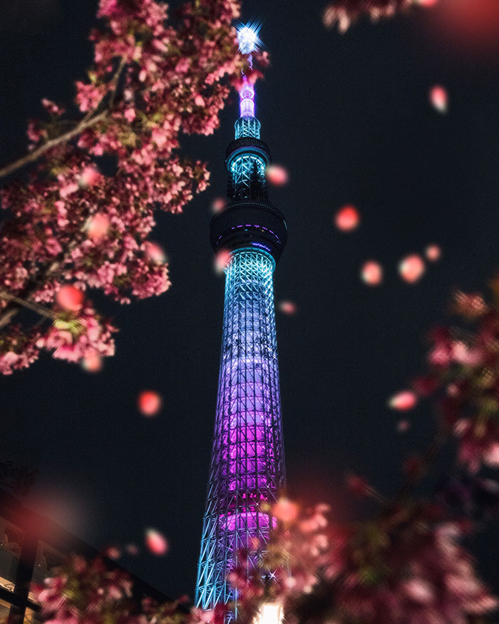 Picture of Tokyo Sky Tree at night
