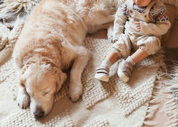 Babysitter Sneaks A Dog Into Her Clients&rsquo; Home Without Telling Them Beforehand, Gets Fired On The Spot