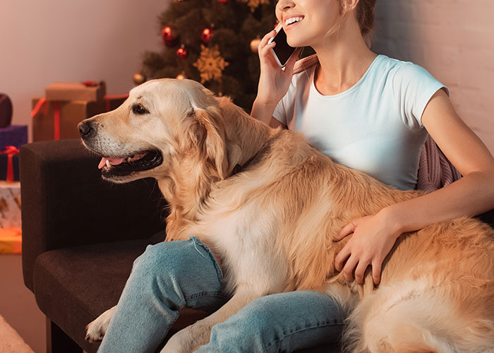 Babysitter Sneaks A Dog Into Her Clients&rsquo; Home Without Telling Them Beforehand, Gets Fired On The Spot