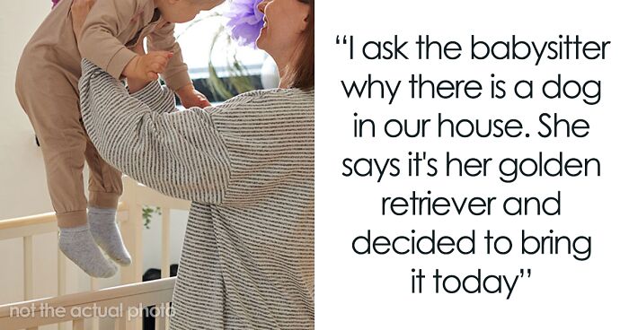 Babysitter Sneaks A Dog Into Her Clients’ Home Without Telling Them Beforehand, Gets Fired On The Spot
