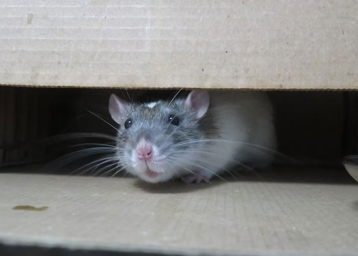 30 People Share Useful Tips And Things To Check Before Moving Into Your First Apartment