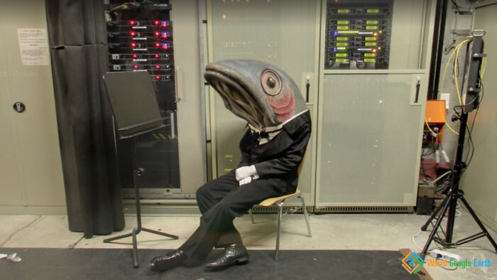 "Fish Out Of Water". Location: Altstadt, Germany