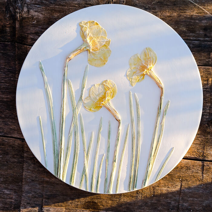 Plants Preserved In The Mineral As Fossils (4 Pics)