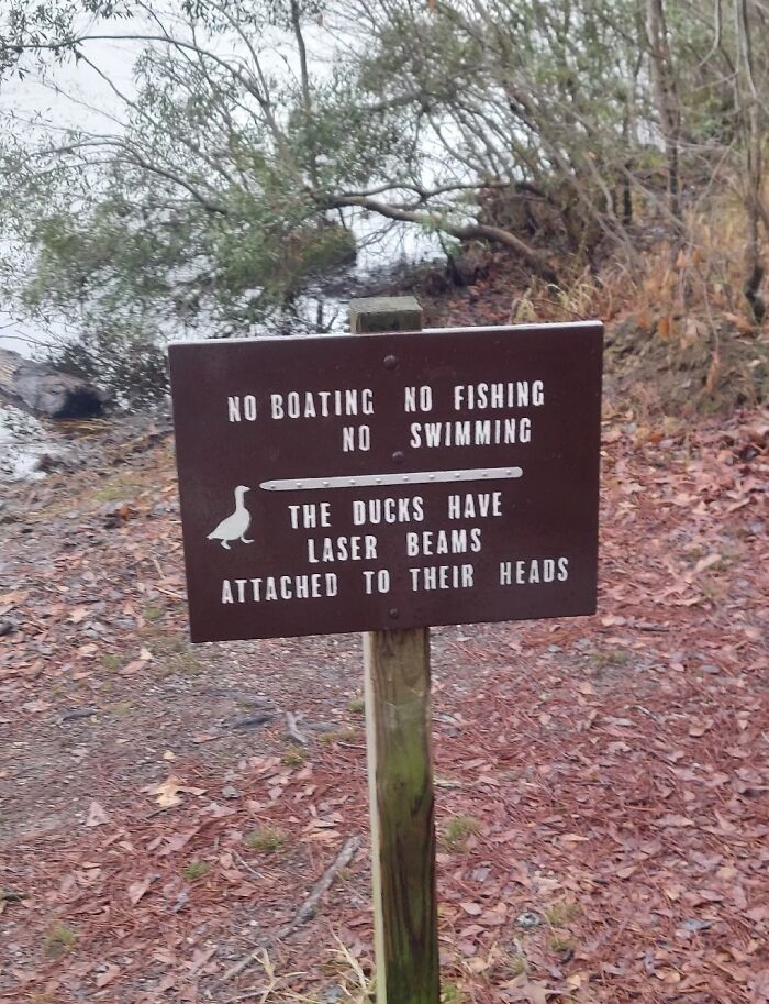 Funny and absurd sign near a lake warning no boating, fishing, or swimming because ducks have laser beams on their heads.