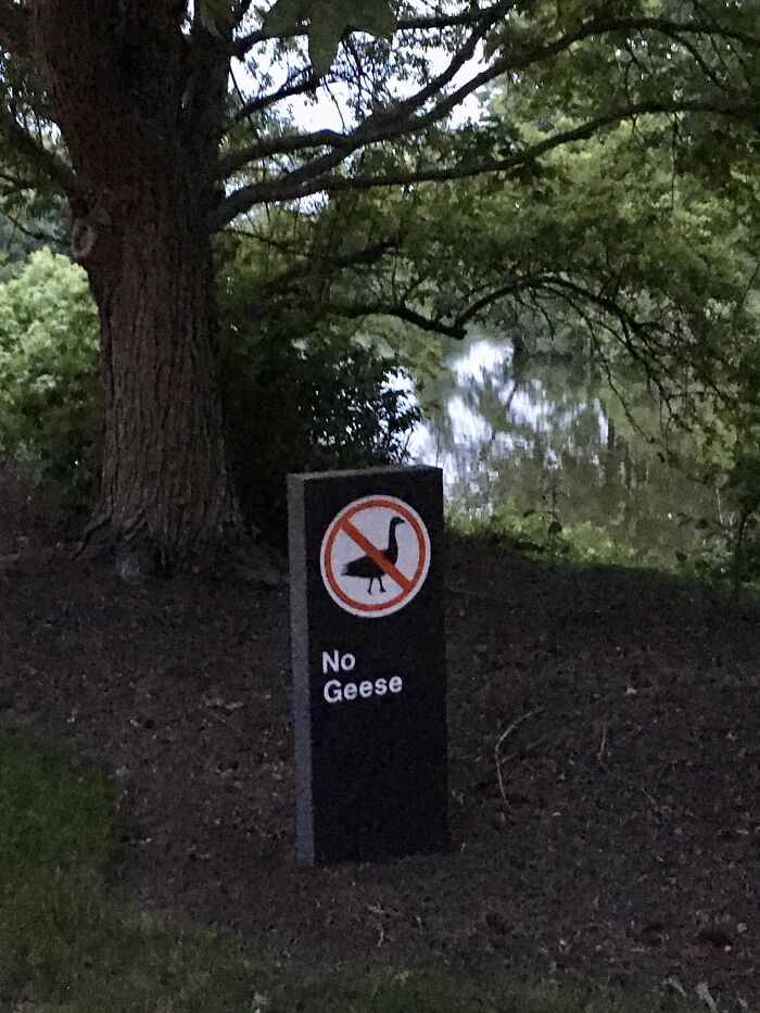 Funny-Absurd-Signs-Pics