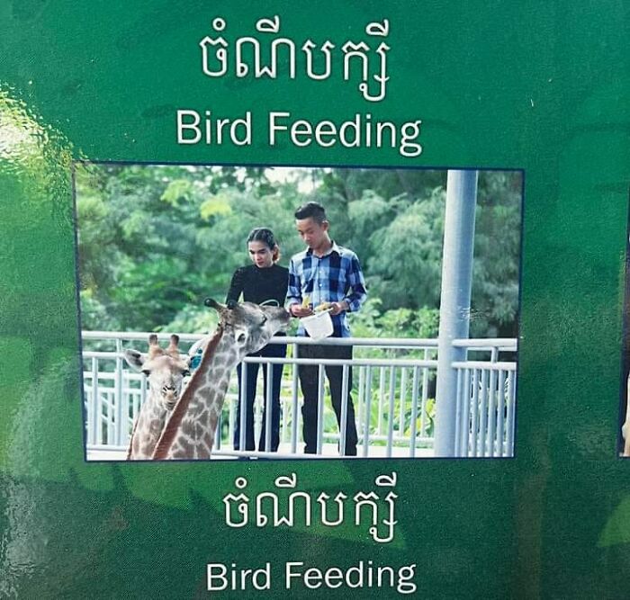 Funny-Absurd-Signs-Pics