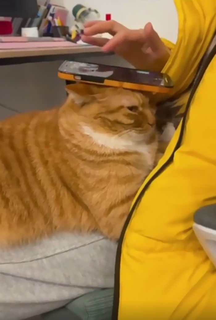 That Facial Expression Says It All