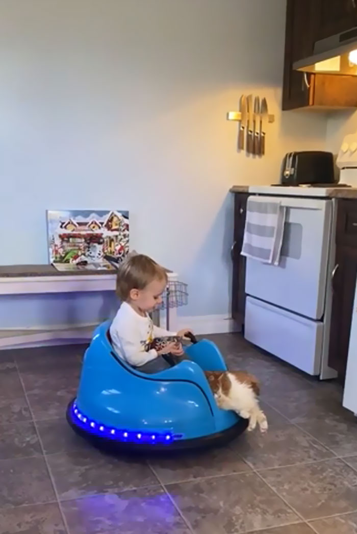 Sadie Has Resigned To Her Fate