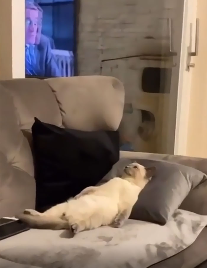 He Just Needs To Rest A Bit