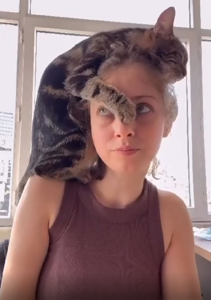 Put Your Thinking Cat On