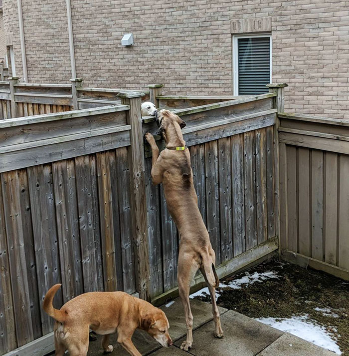 We Always Love Meeting New Friends