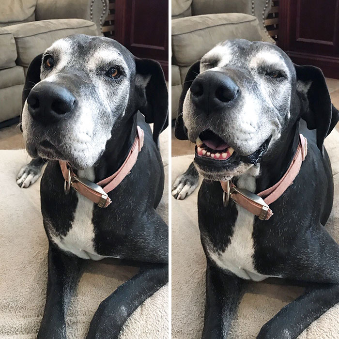 I Said: "Tiny Did You Sleep All Day? That Seems Lazy." She Laughed At Me