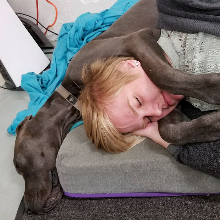 Snuggle Time Is The Best Time