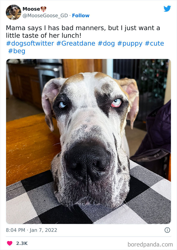 It's Not Your Fault That Your Head So Conveniently Fits On The Table 