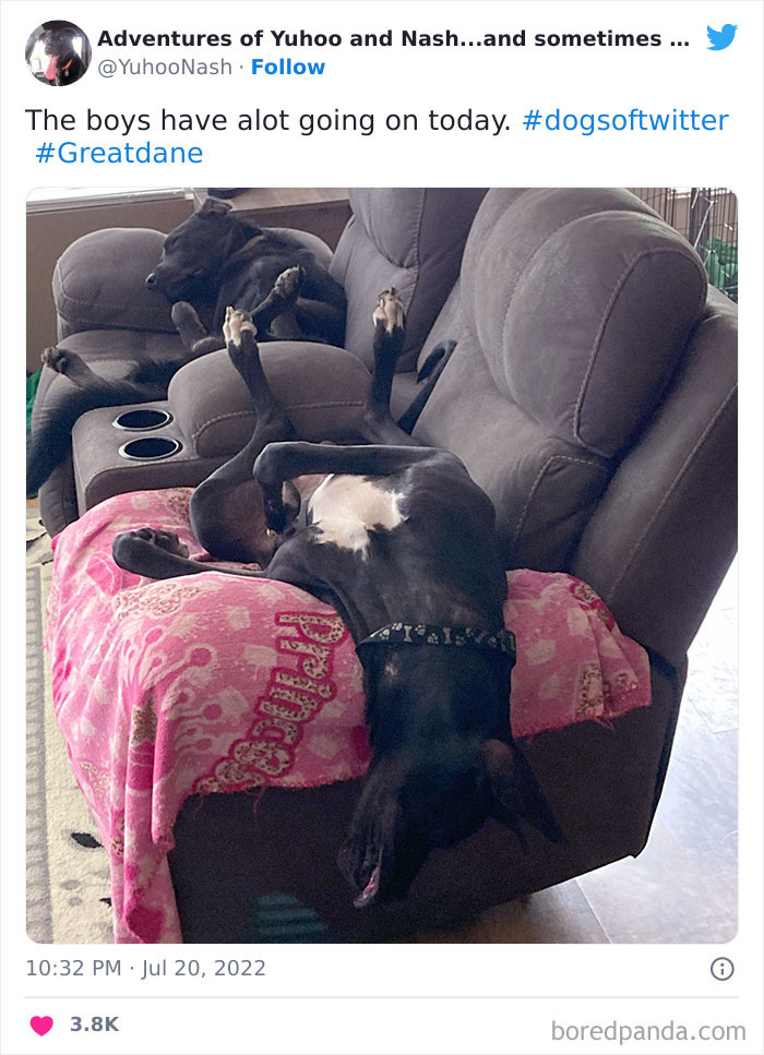 Saving The World Can Wait Until After Nap Time