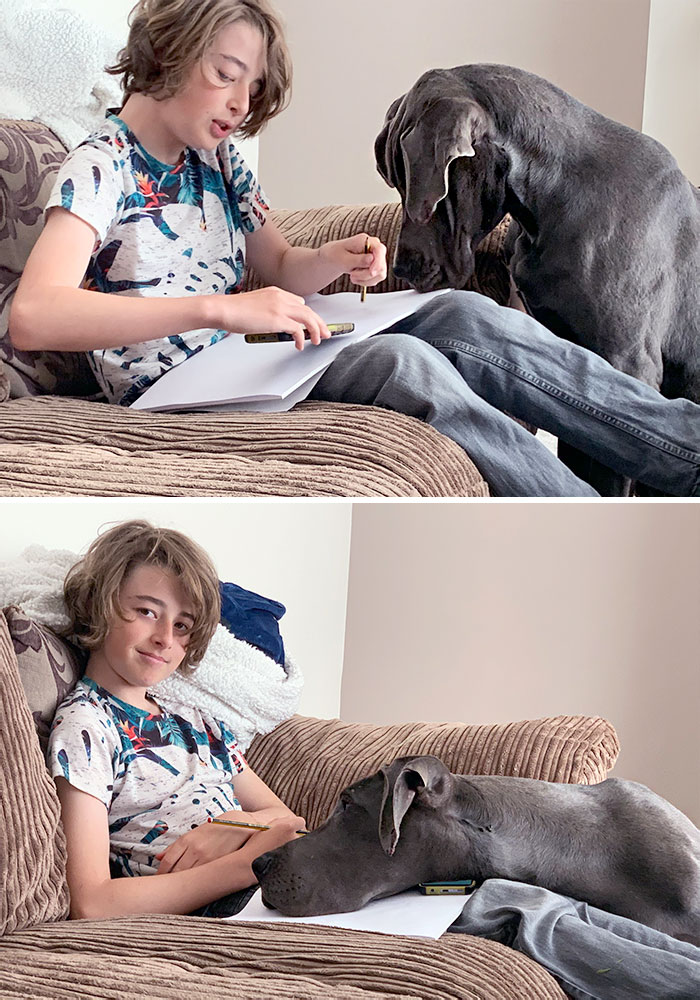 Buddy Was Helping With The Drawing