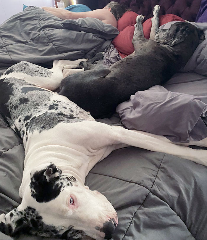 I Have A Little Corner Left