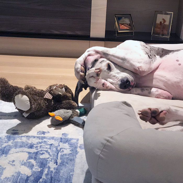 I Don't Wanna Hear It