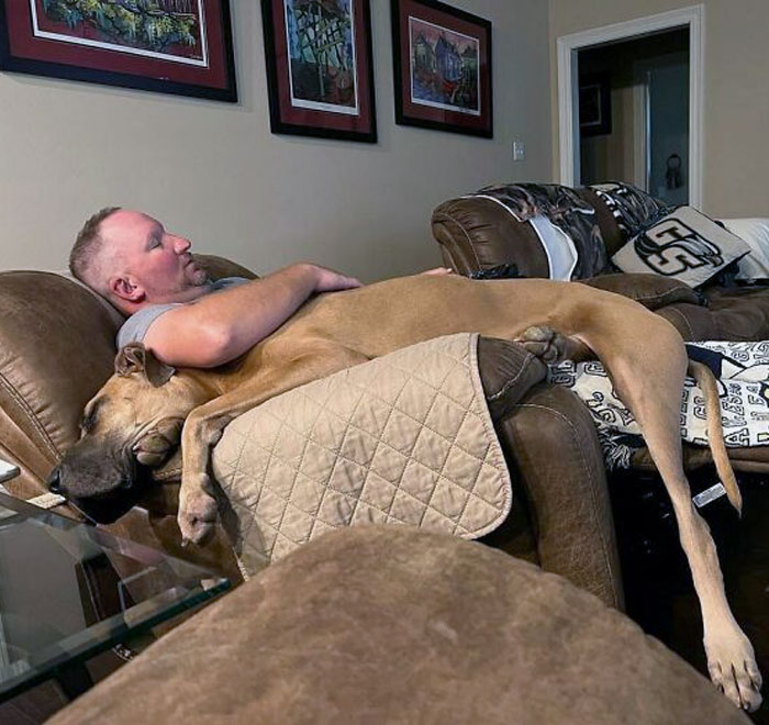 Happy Father's Day. Here Is One Of Us Knocked Out. Mom Has A Video Of Us Snoring Together But We Aren't Going To Share That