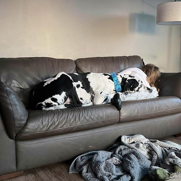 How Long Do Teenagers Sleep? I'm Patiently Waiting For The Little Human To Wake Up And Make Bacon For Breakfast