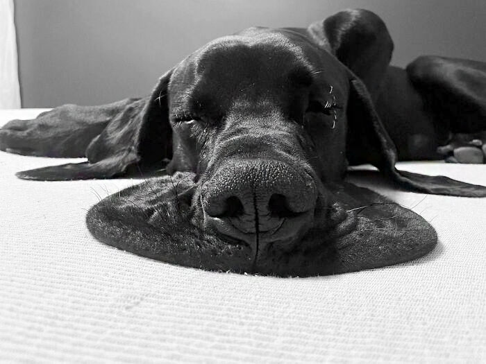 It's 55 In Indiana Today And I'm Melting