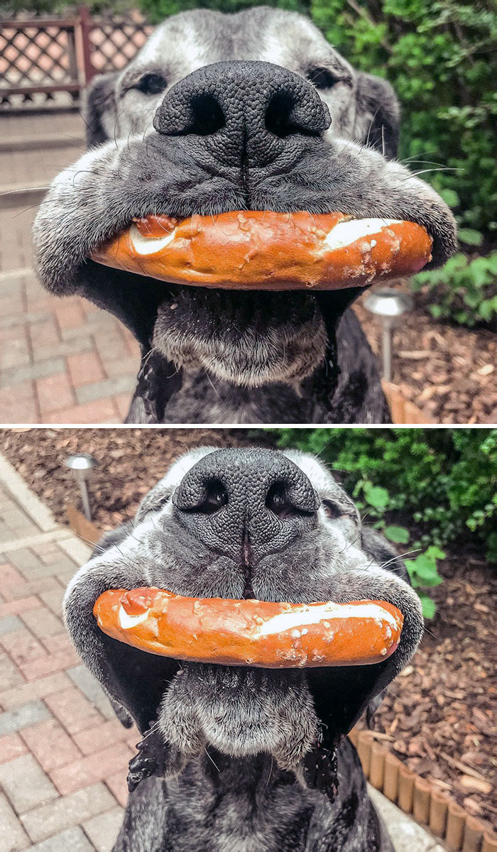 Me: Eats Snack While Also Looking For Another Snack