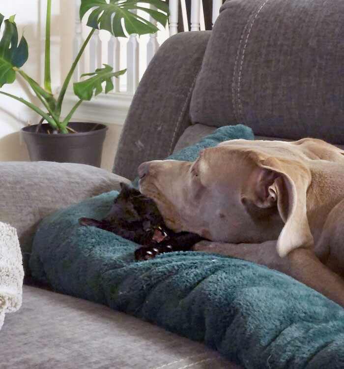 She Just Loves Him So Much